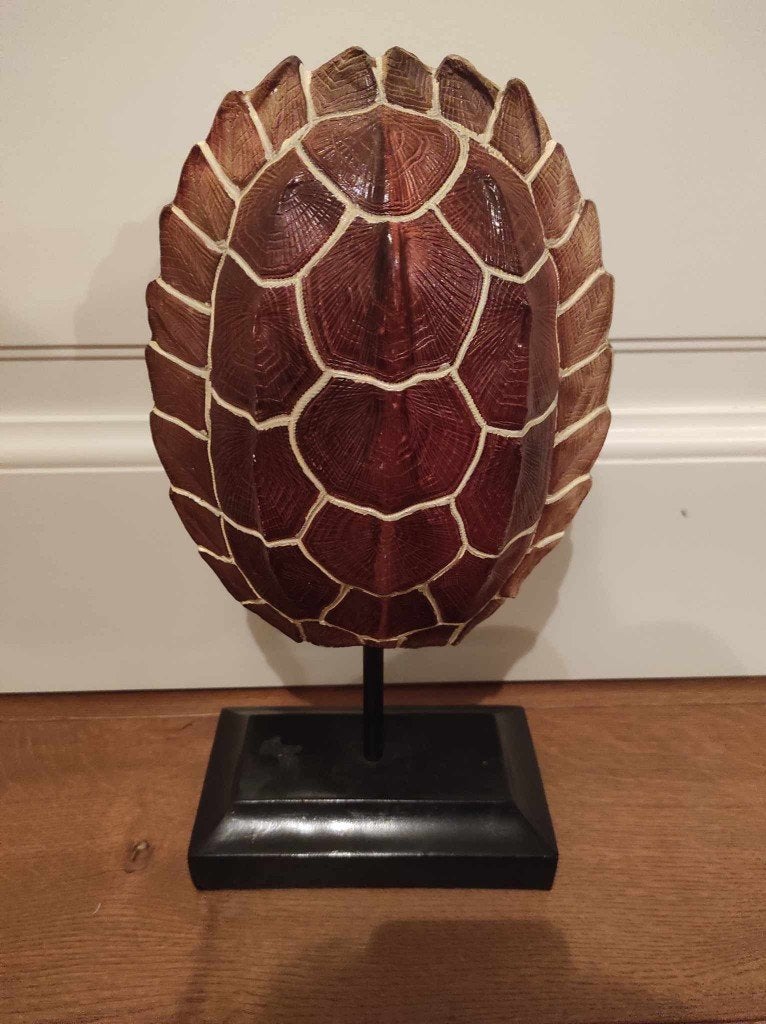 decoratie schildpadschild beeld, Ophalen of Verzenden, Zo goed als nieuw, Dier