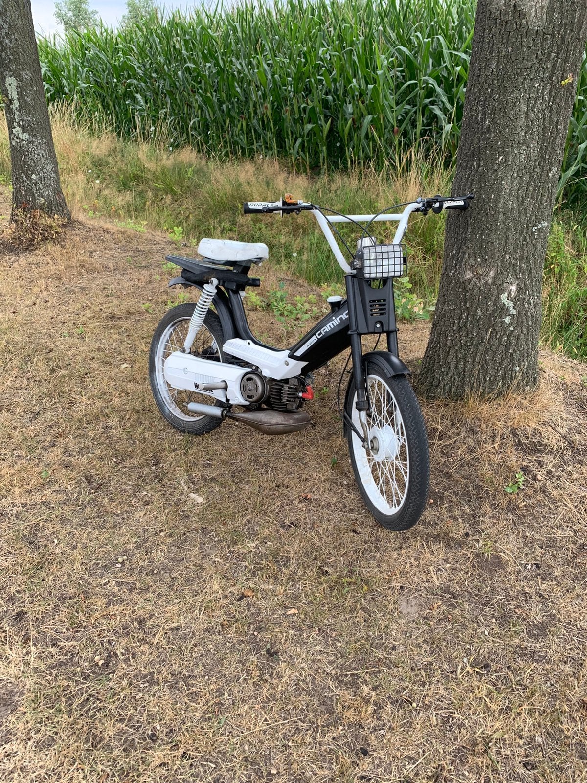 Honda camino waarde peeling, Enlèvement