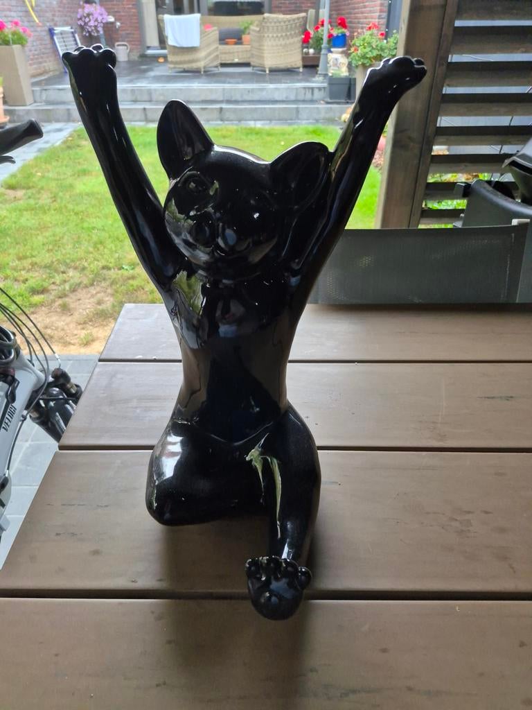 Zwarte kat, Ophalen