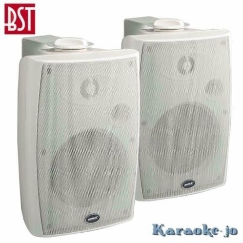 BST 370TW 100Volt Luidspreker set 2-weg 40 Watt, Ophalen of Verzenden, Nieuw, Overige typen