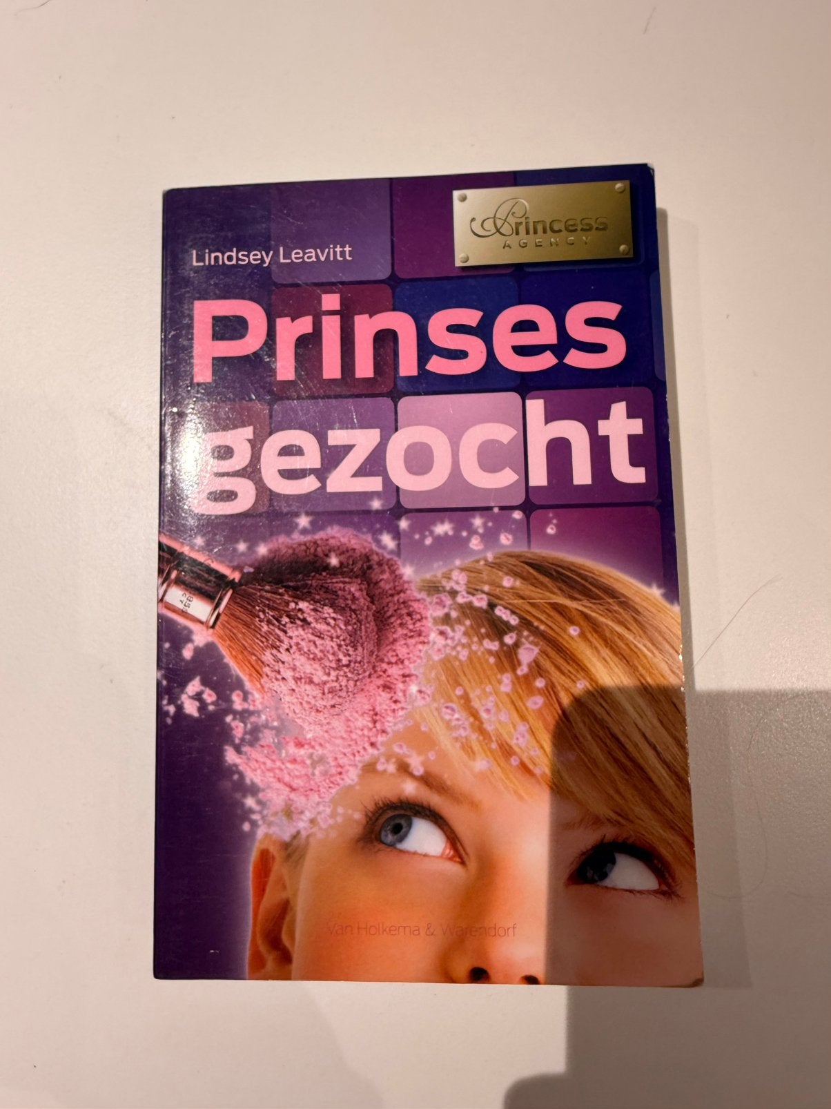 Boek Prinses Gezocht, Ophalen of Verzenden, Zo goed als nieuw
