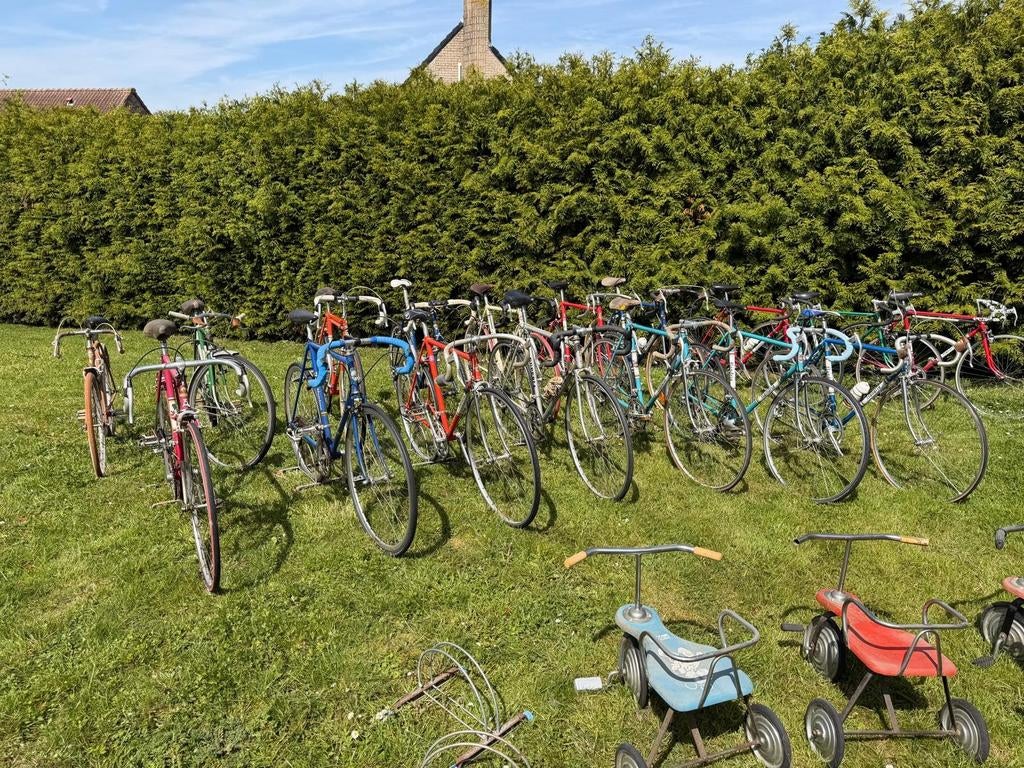 Collectie verzameling Flandria, Tickets & Billets, Loisirs | Jardins zoologiques