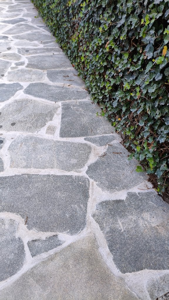 Flagstones natuursteen Terrastegels Stapstenen, Neuf, Tuiles de terrasse, 10 m²² ou plus, Enlèvement