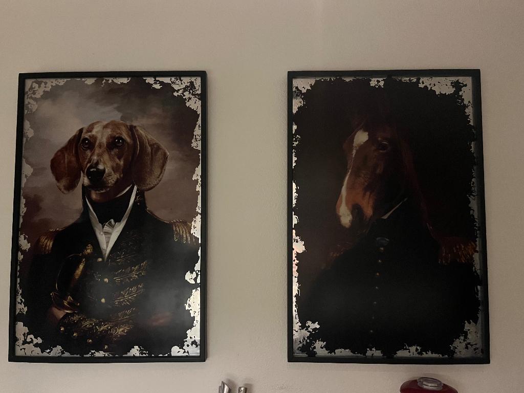 Duo kader hond en paard, Ophalen