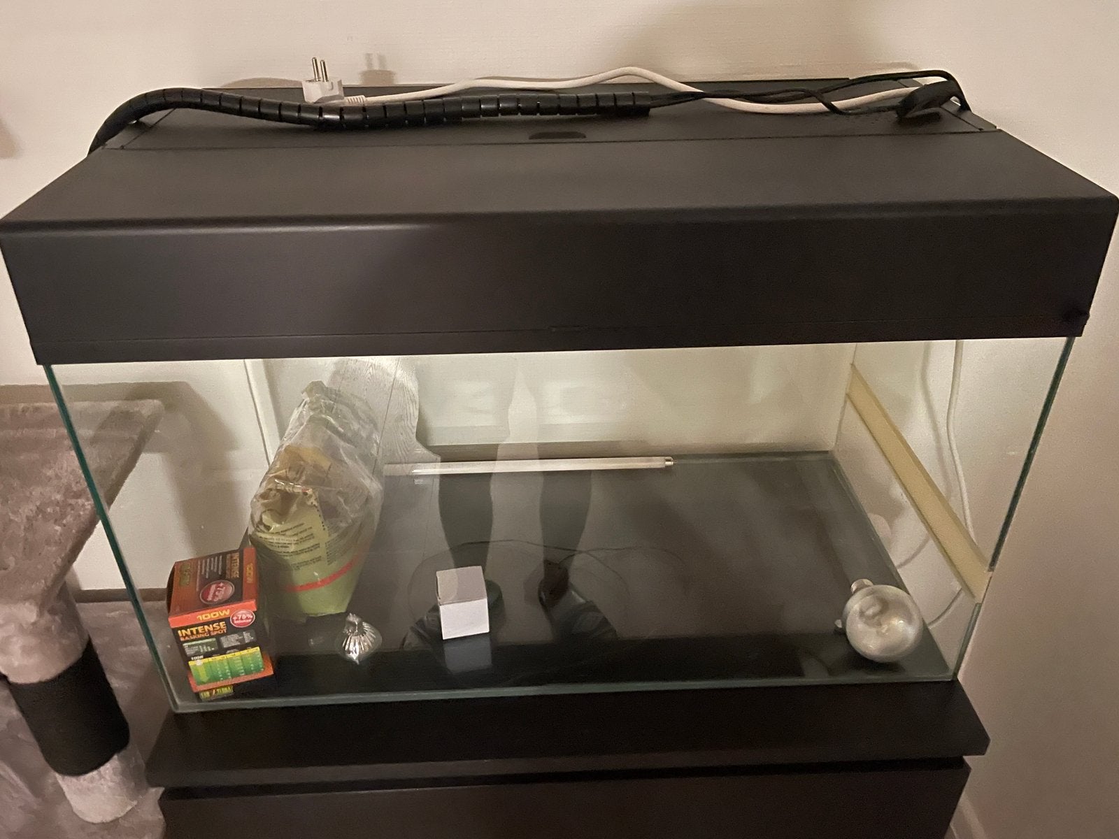 Terrarium met toebehoren, Animaux & Accessoires, Reptiles & Amphibiens | Accessoires, Enlèvement, Comme neuf, Terrarium ou Paludarium
