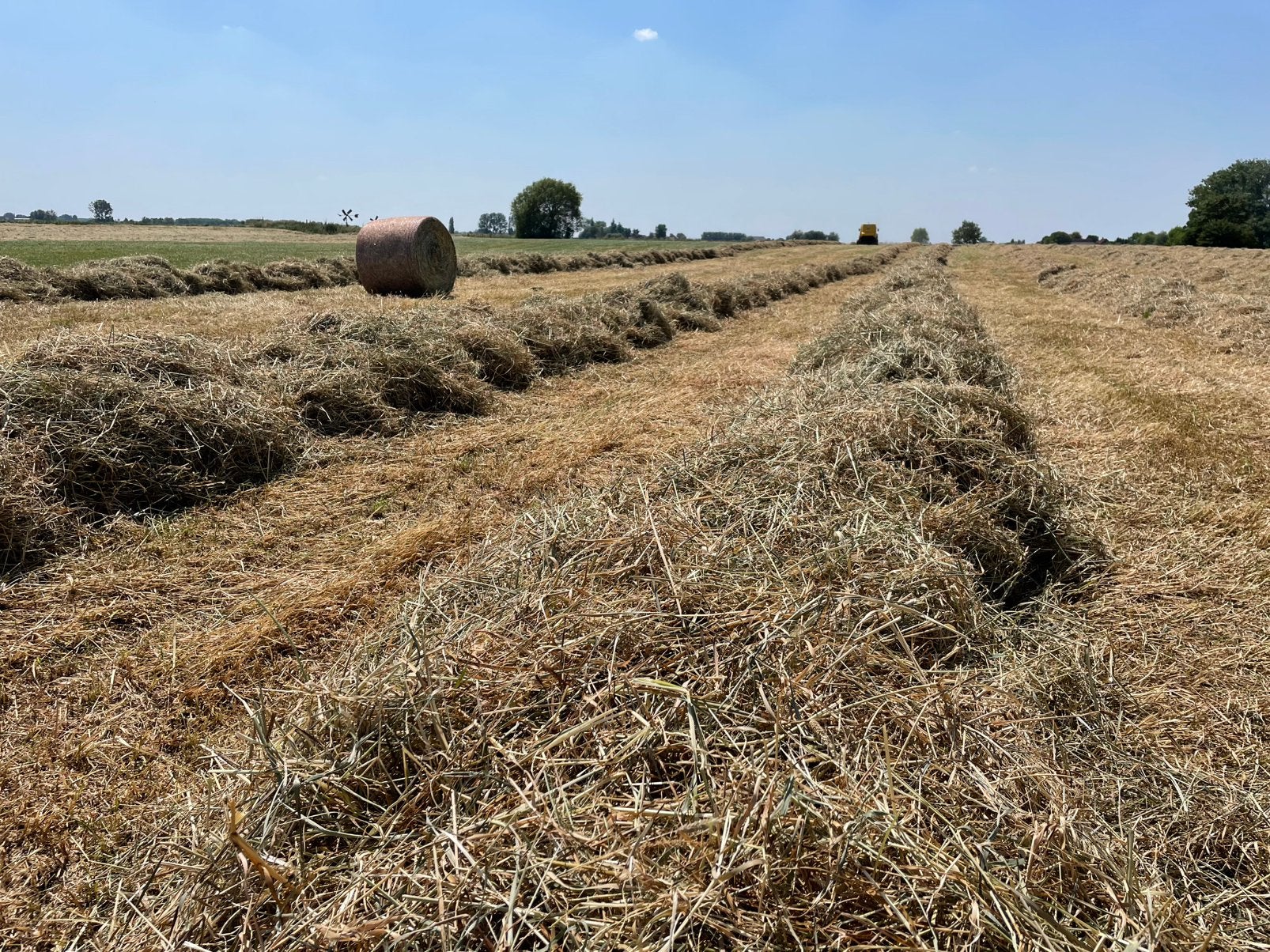 Hooi 2026, Dieren en Toebehoren