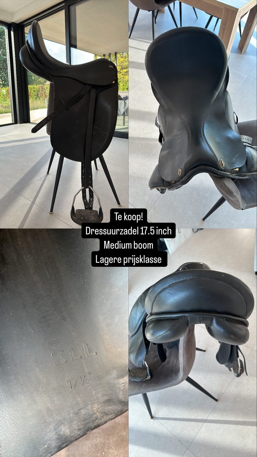 Dressuurzadel 17.5 inch, Ophalen, L (17.5 inch), Gebruikt, Dressuur