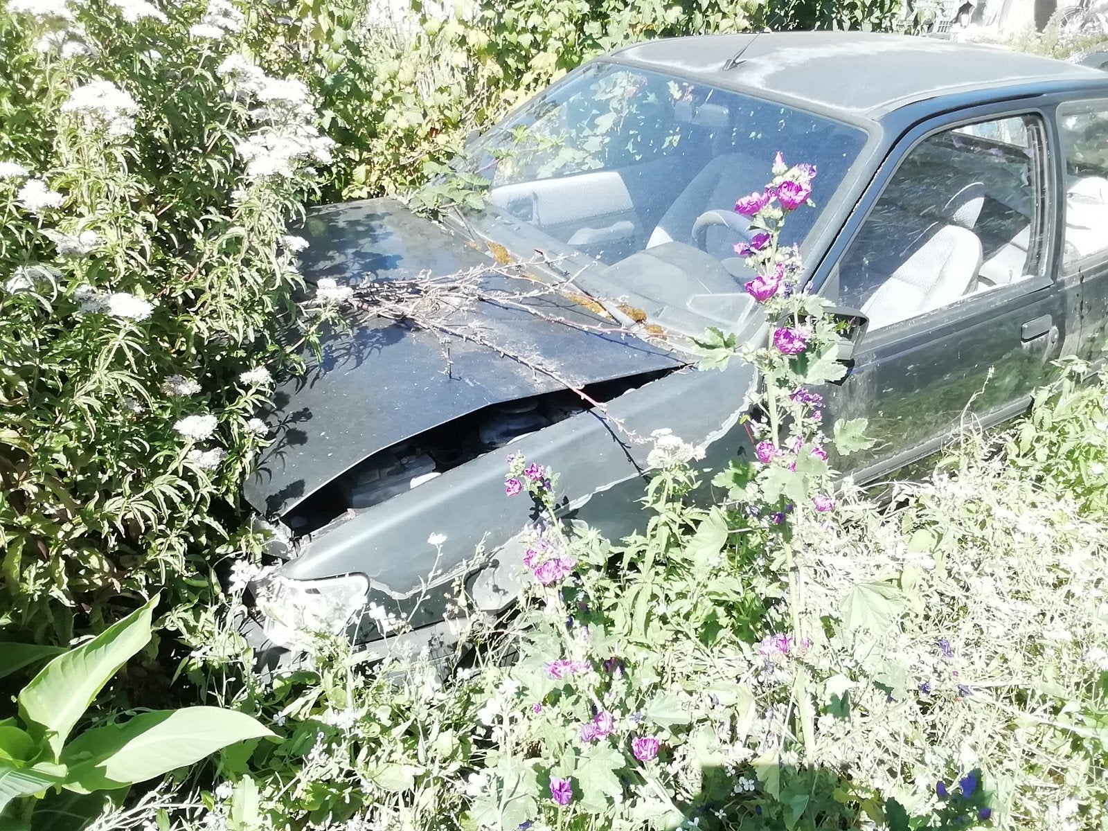 Ford fiesta, Auto's, Ford, Particulier, Te koop