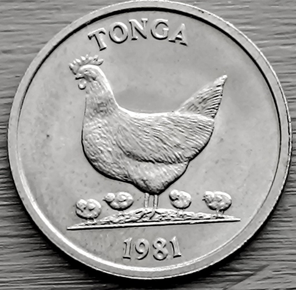 munt Tonga 5 seniti 1981, Timbres & Monnaies, Monnaies | Océanie, Enlèvement ou Envoi