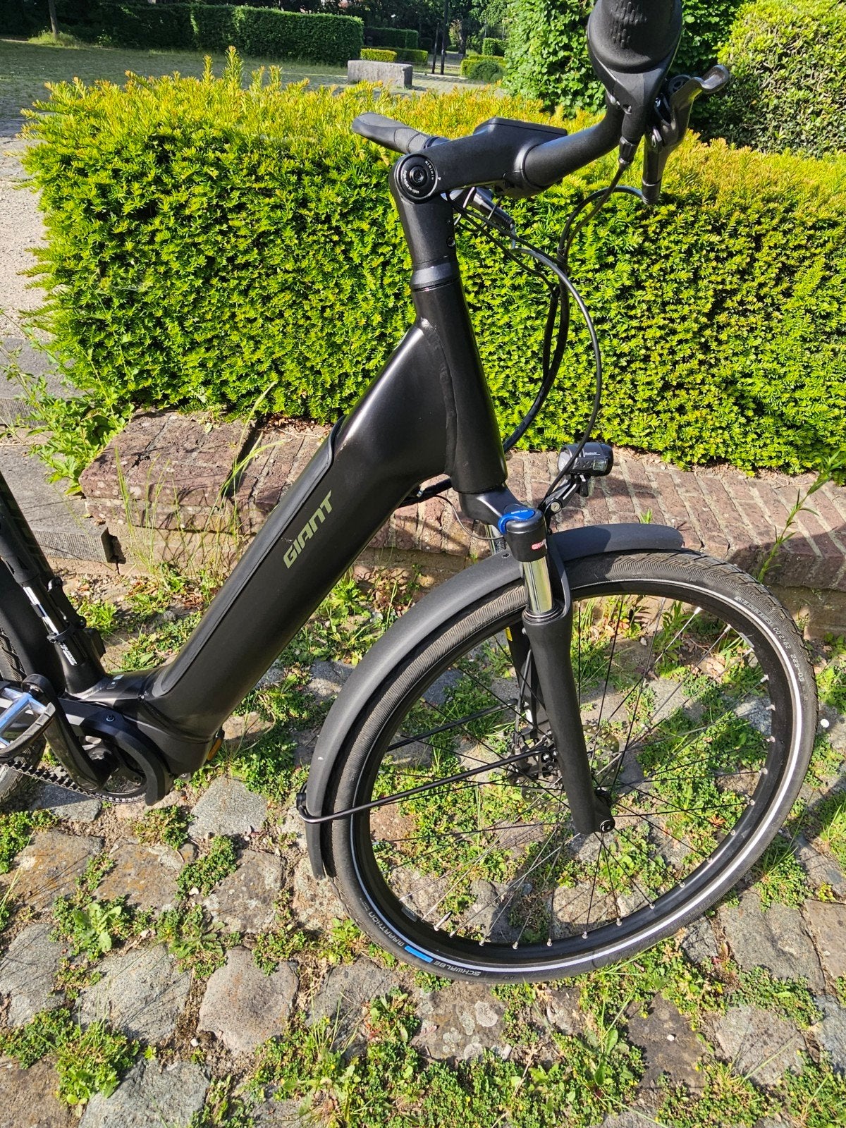 super vélo électrique GIANT, Vélos & Vélomoteurs, Vélos électriques, Enlèvement, Giant