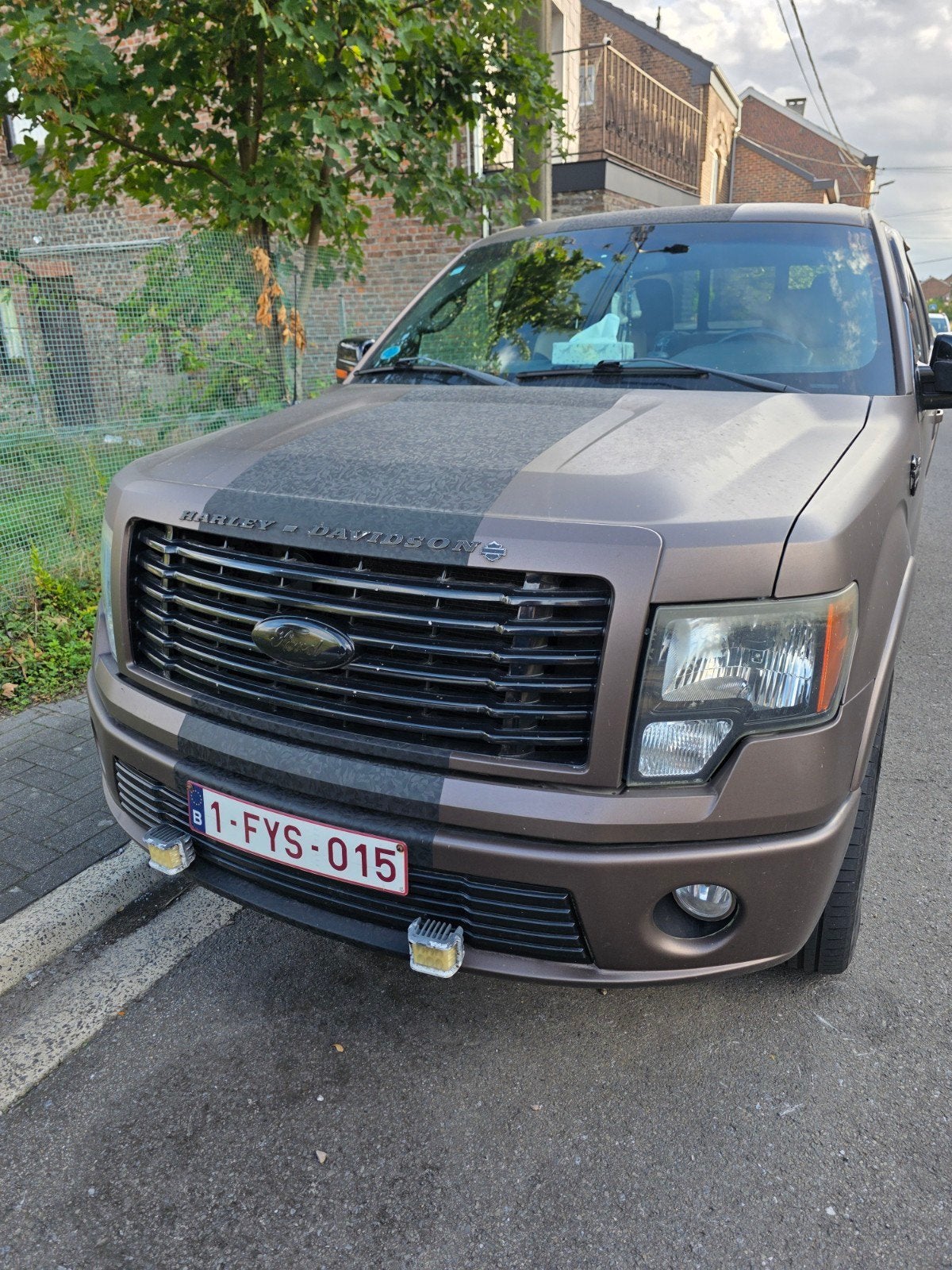 ford f150 harley davidson, Autos, Cuir, Autres modèles, Achat, 5 places