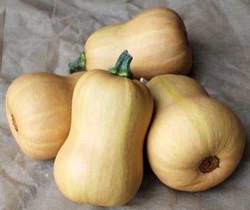Pompoenpitten Butternut butternutbaby, Tuin en Terras, Ophalen of Verzenden, Voorjaar, Volle zon, Zaad