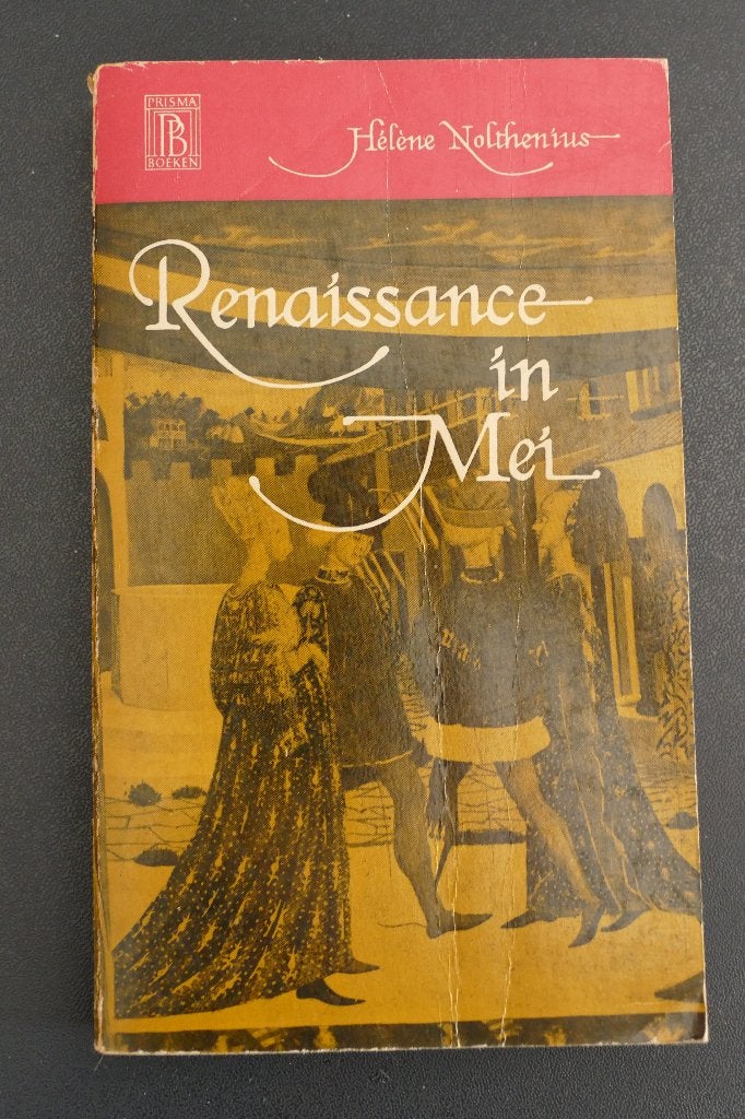 Hélène Nolthenius, Boeken, Geschiedenis | Wereld, Gelezen, 14e eeuw of eerder, Hélène Nolthenius, Europa