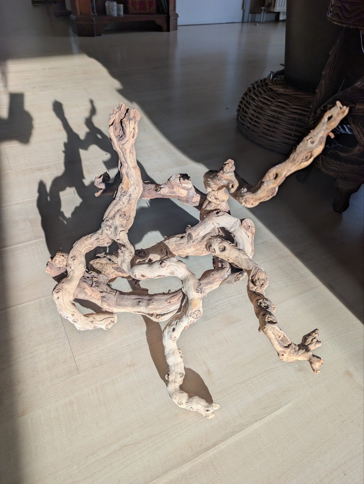 Druiventak hout voor terrarium 35 x 35 x 35 cm, Ophalen, Gebruikt, Tak, Plant, Rots of Steen
