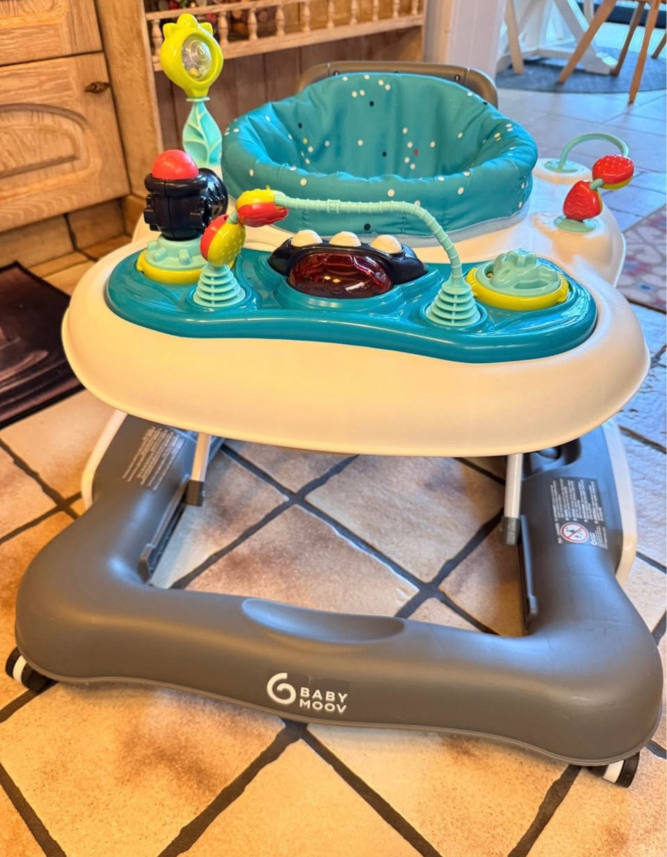 TE KOOP: Babymoov: Loopstoel duwwagentje 5 in 1, Kinderen en Baby's, Wipstoeltjes, Zo goed als nieuw, Ophalen