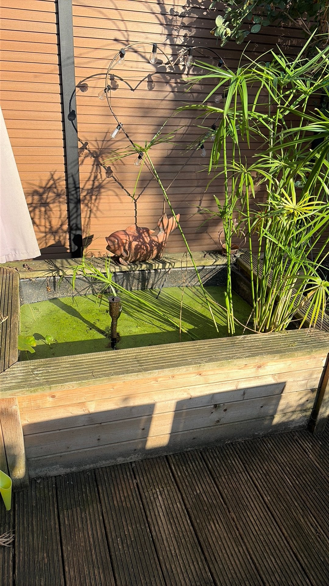 Houten buitenvijver, Tuin en Terras, Ophalen, Gebruikt