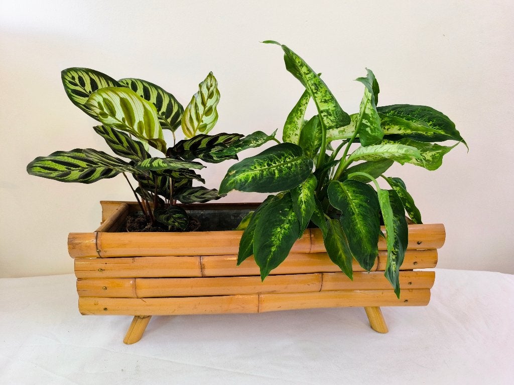 Vintage 1970 tropische plantenbak/bloembak van bamboe, tiki, Gebruikt, Minder dan 30 cm, Minder dan 60 cm, Binnen
