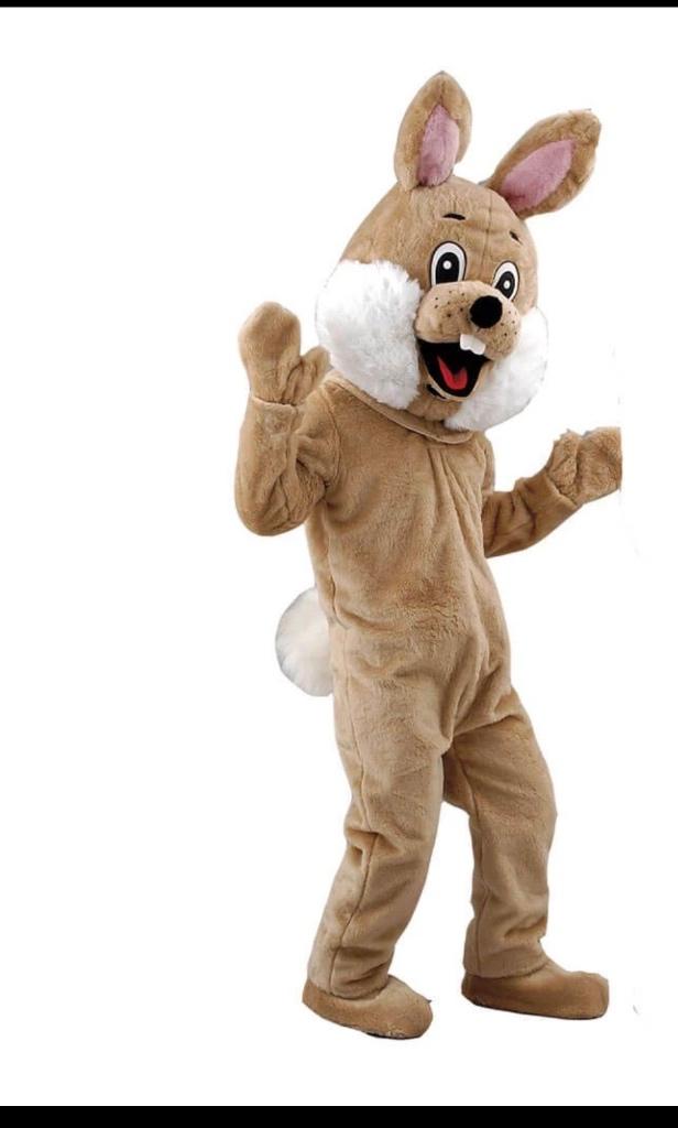 Costume lapin mascotte Pâques déguisement, Enlèvement, Neuf