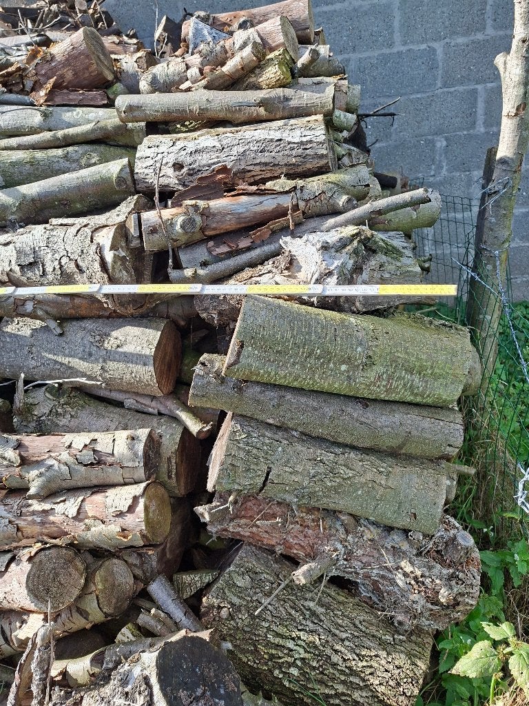 brandhout, 6 m³ ou plus, Enlèvement, Autres essences de bois, Bûches