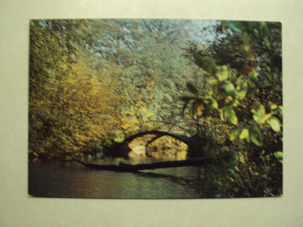 55258 - SCHILDE - PIJLENBRUG IN HET DOMEIN SCHILDEHOF, Verzamelen, Postkaarten | België, Verzenden