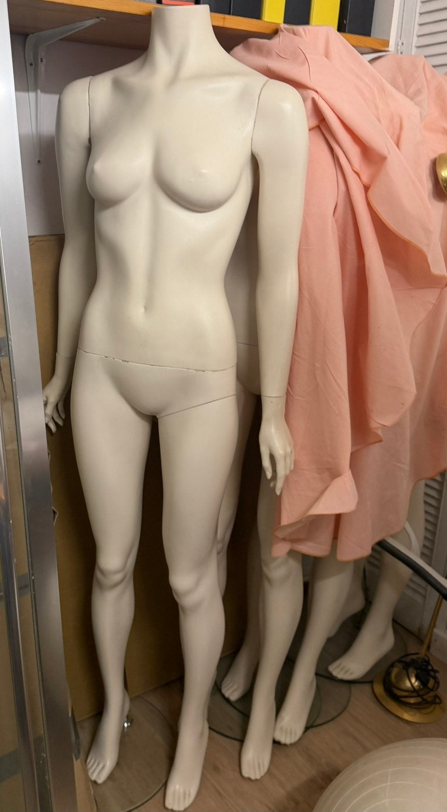 Mannequin, Articles professionnels, Enlèvement