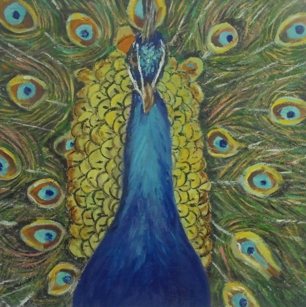 3D olieschilderij pauw (30x30x4cm), Antiek en Kunst, Kunst | Schilderijen | Modern, Ophalen of Verzenden