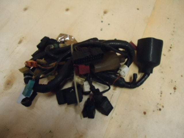 CBR600F 1999 - 2000 Honda Kabelboom Kabelboom hoofd D1-16747