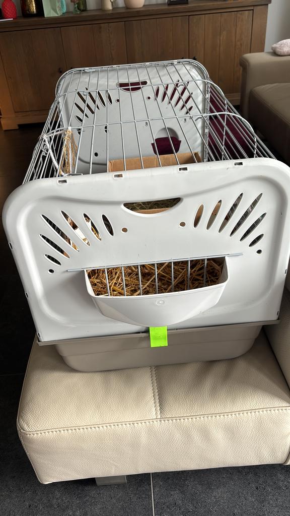 Konijnen hamster kooi nieuwe staat, Dieren en Toebehoren, Ophalen of Verzenden, Zo goed als nieuw