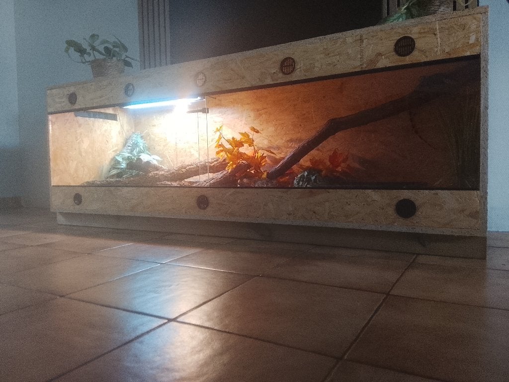 Terarium osb, Enlèvement, Neuf, Terrarium ou Paludarium