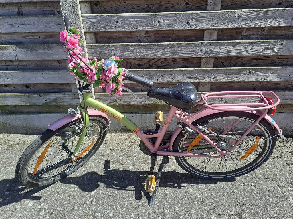 Kinderfiets 24 inch, Enlèvement, Utilisé, 20 pouces ou plus, BATAVUS