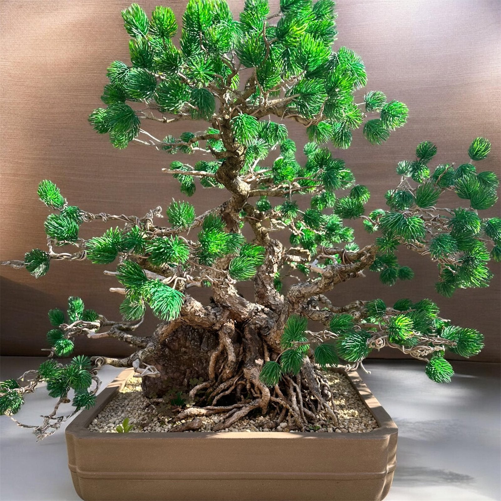 Bonsai ( kunstboom ), Tuin en Terras, Planten | Bomen, Ophalen