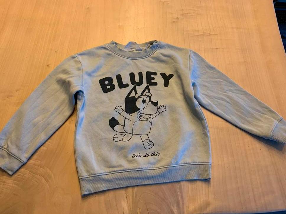 Bluey trui, Ophalen of Verzenden, Gebruikt, Jongen of Meisje, Trui of Vest
