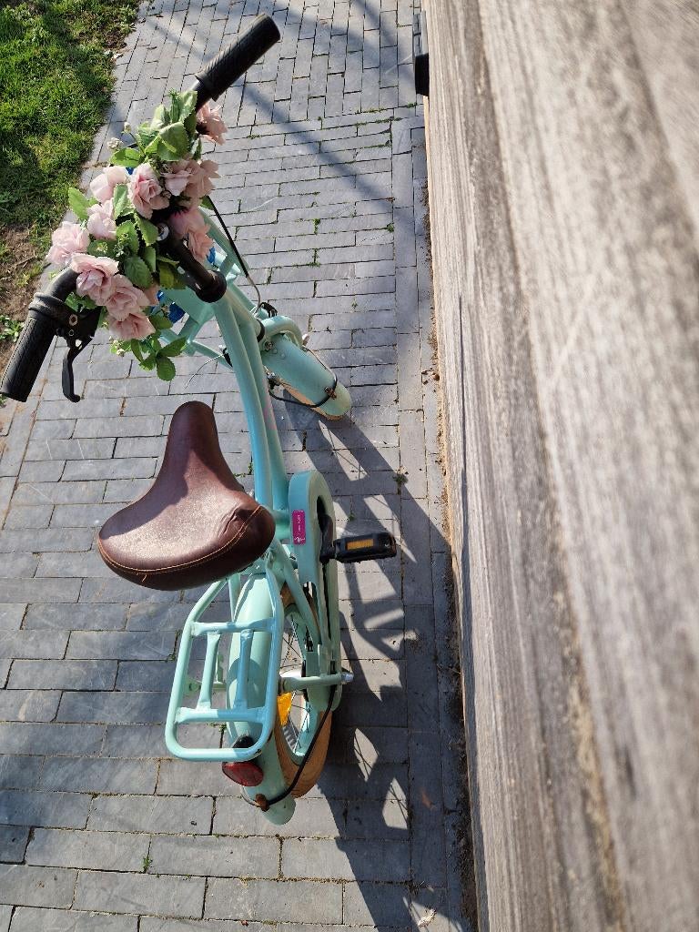 Kinderfiets, Fietsen en Brommers, Ophalen, Gebruikt, 14 inch of minder, Handrem