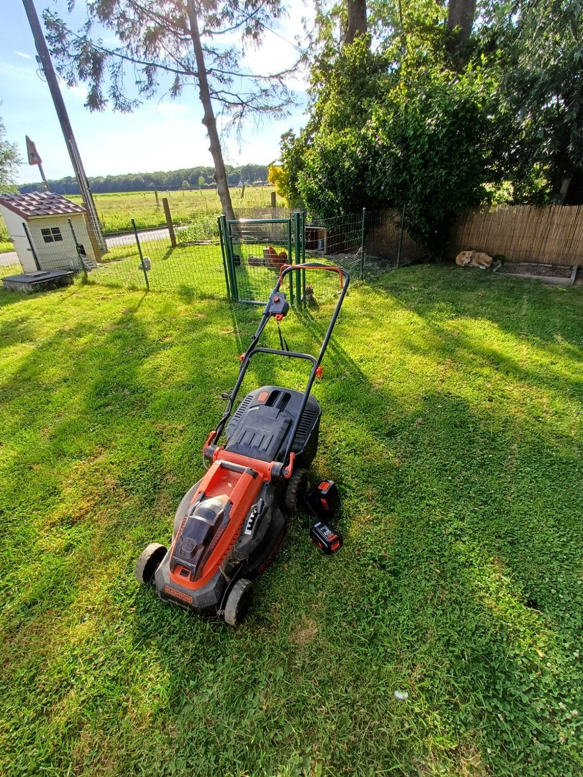 Grasmachine/grasmaaier Black&Decker, Ophalen