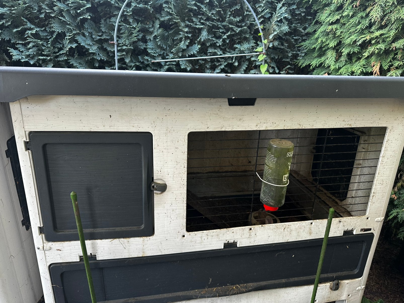 Cage à lapins avec deux lapins, mâle et femelle, Animaux & Accessoires, Enlèvement, Utilisé, Niche