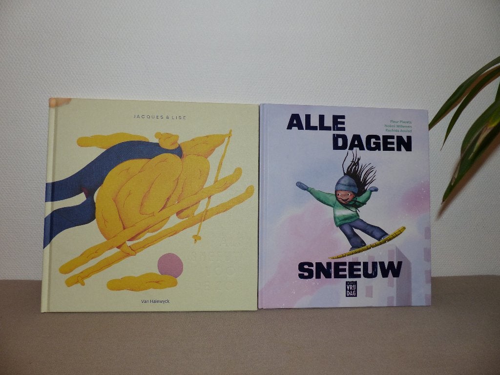 Livres sur le ski et la neige - en bon état, Livres, Enlèvement ou Envoi, Comme neuf