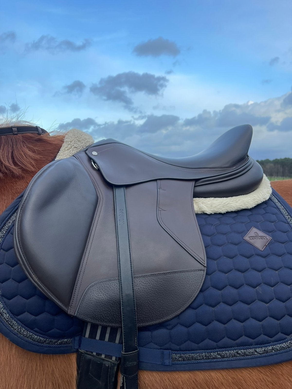 Leuk springzadel te koop!, Animaux & Accessoires, Chevaux & Poneys | Selles, Comme neuf, Obstacle, Autres marques, L (17.5 pouces)