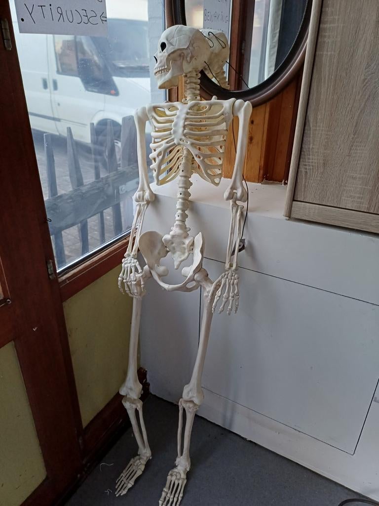 Te koop skelet compleet, Ophalen