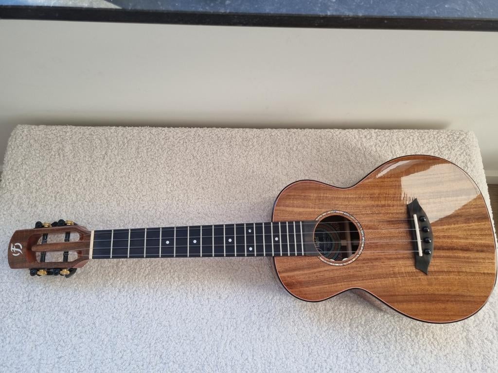 Ukulele Flight Phantom Tenor CE-A, Ophalen