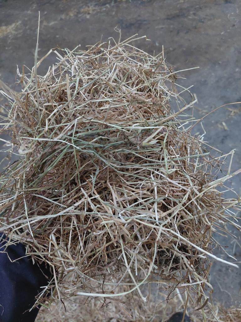 Graszaadhooi, Zakelijke goederen, Landbouw | Veevoer, Ophalen