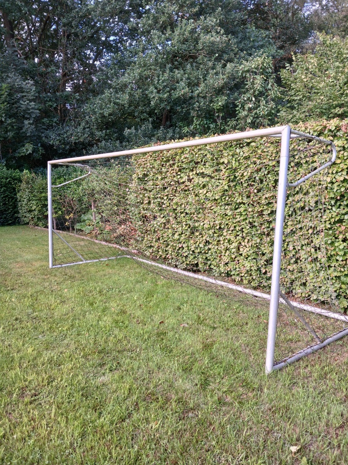 Goal Alu Sport 5 x 2 meter, Sports & Fitness, Enlèvement