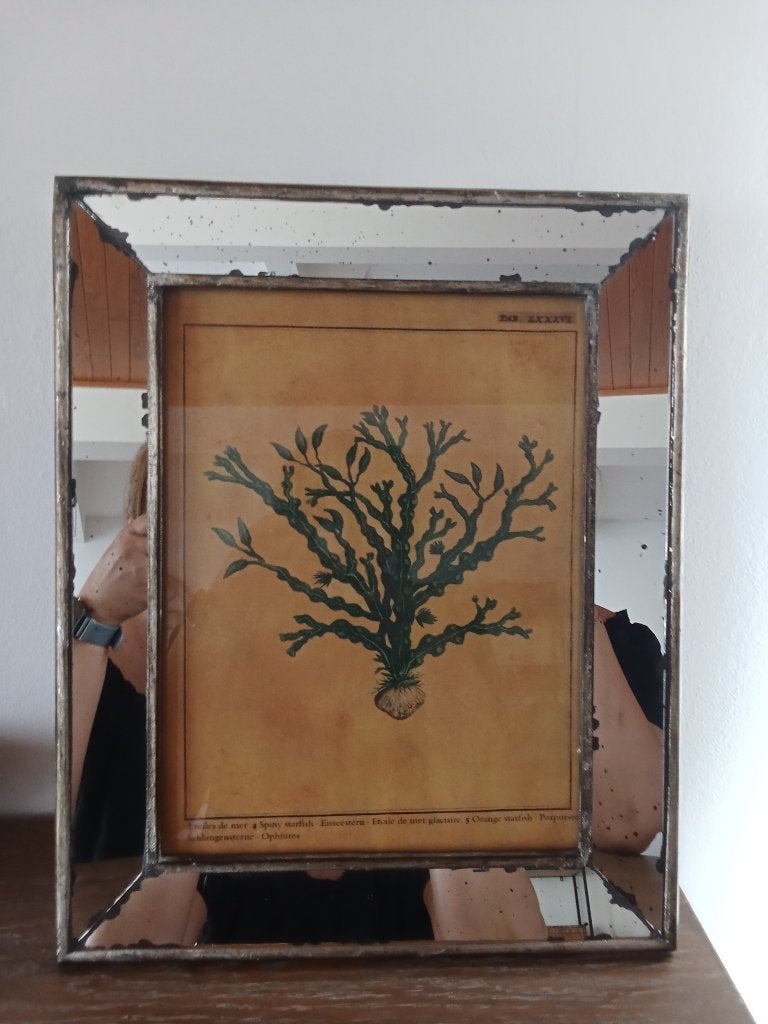 Kader, Antiek en Kunst, Ophalen