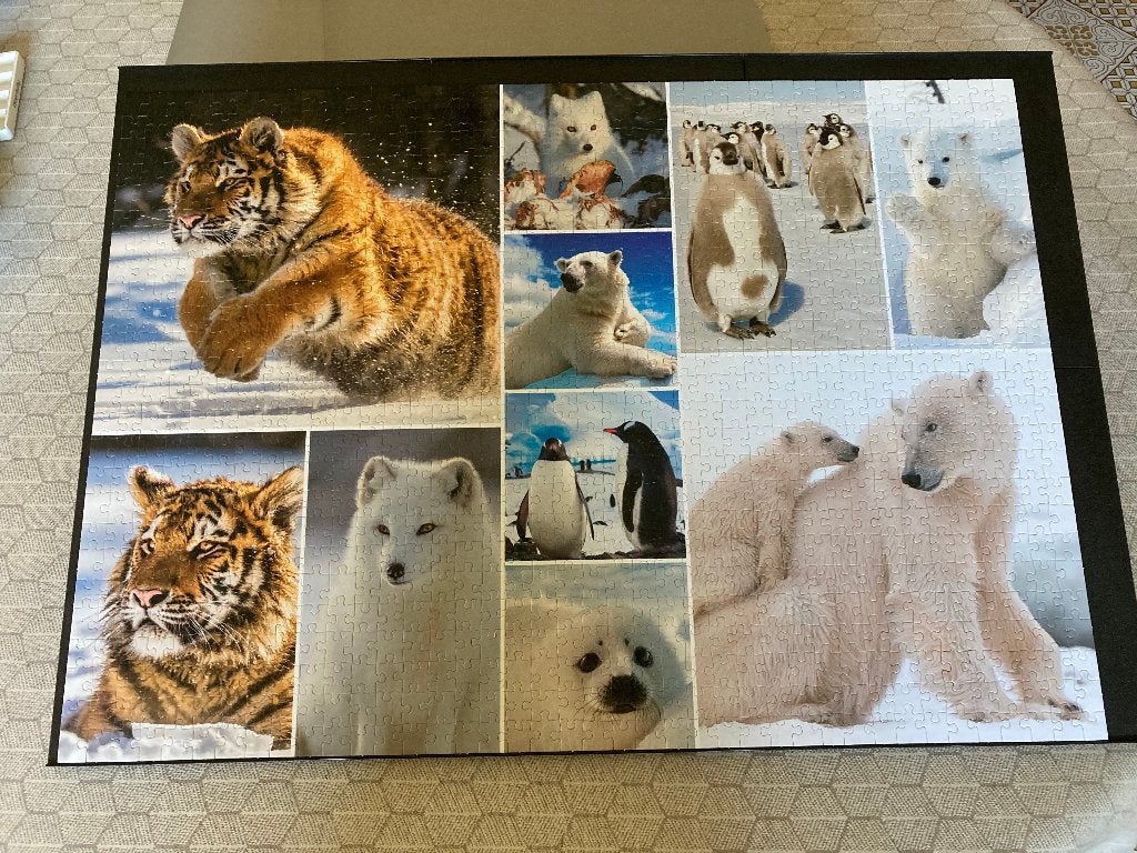 Puzzel 'Arctic Life', merk : King, 1000 stukjes (compleet), Hobby & Loisirs créatifs, Enlèvement ou Envoi, 500 à 1500 pièces, Comme neuf