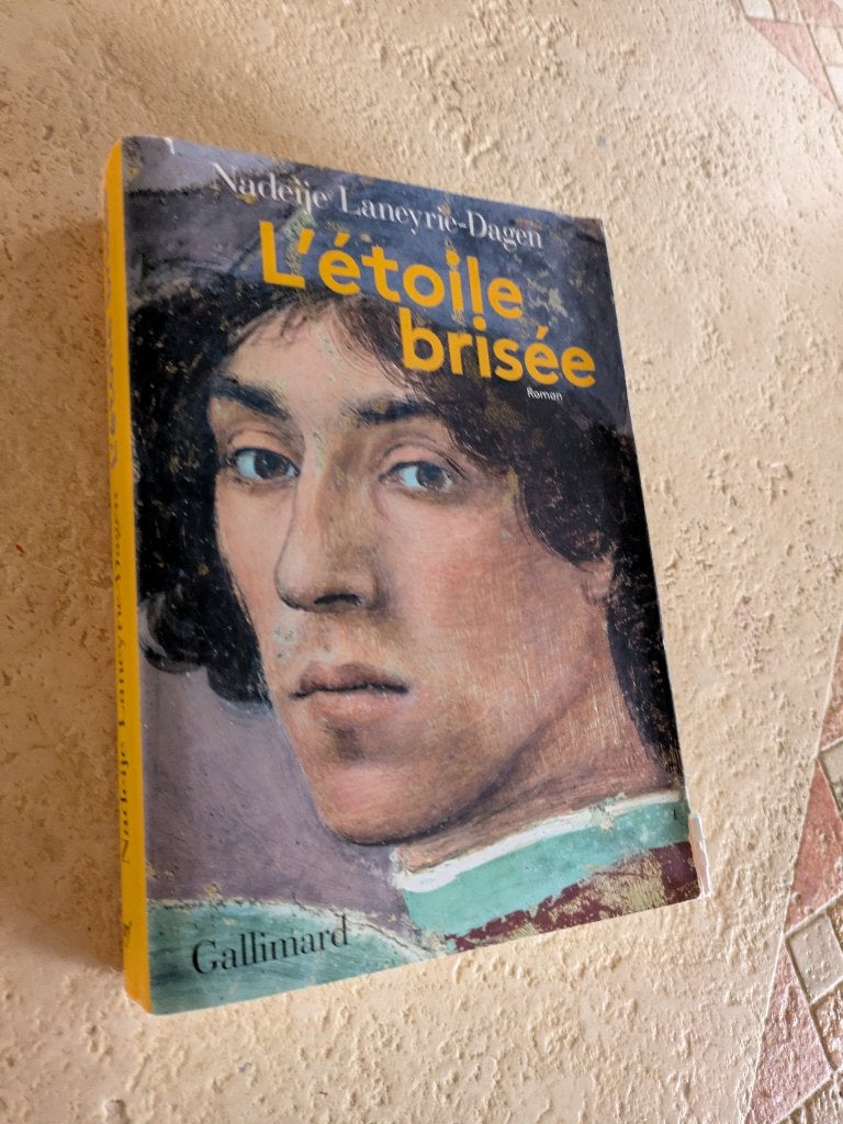L'étoile brisée (Nadeije Laneyrie-Dagen)., Livres, Envoi, Utilisé, Europe autre