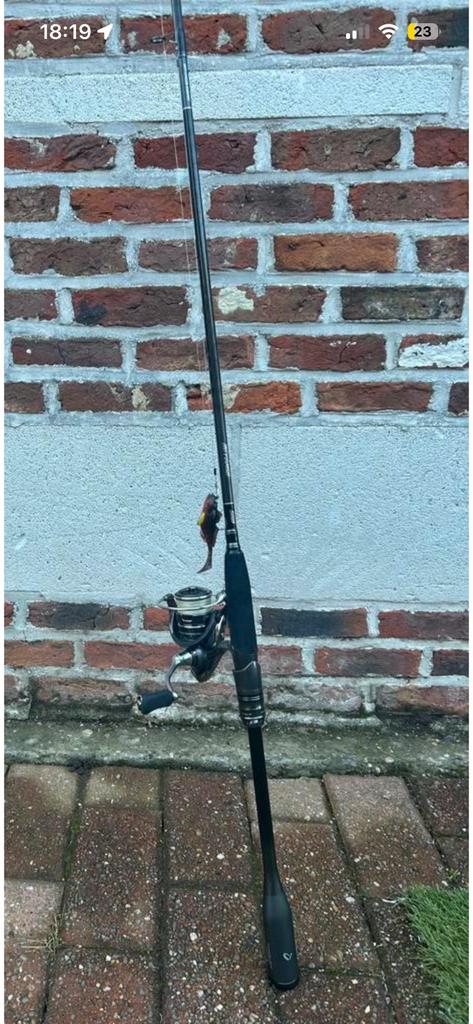 Savage Gear hengel (SG8) met Molen TE KOOP!!, Sports nautiques & Bateaux, Pêche à la ligne | Poissons prédateurs, Enlèvement, Comme neuf