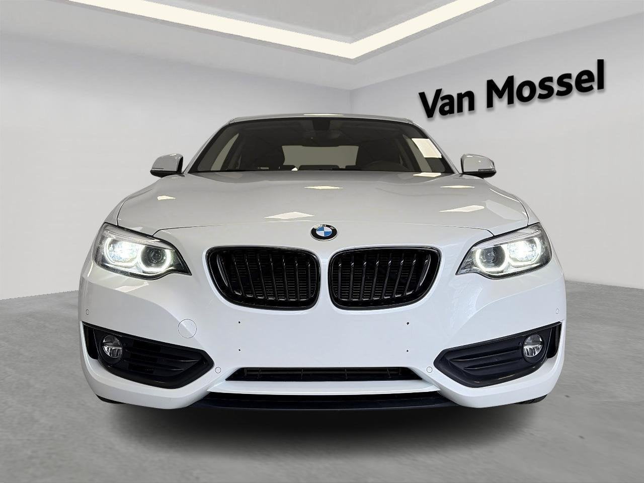 BMW 2 Reeks Coupé 218i (100kW), Autos, 100 kW, 680 kg, Entreprise, Boîte manuelle