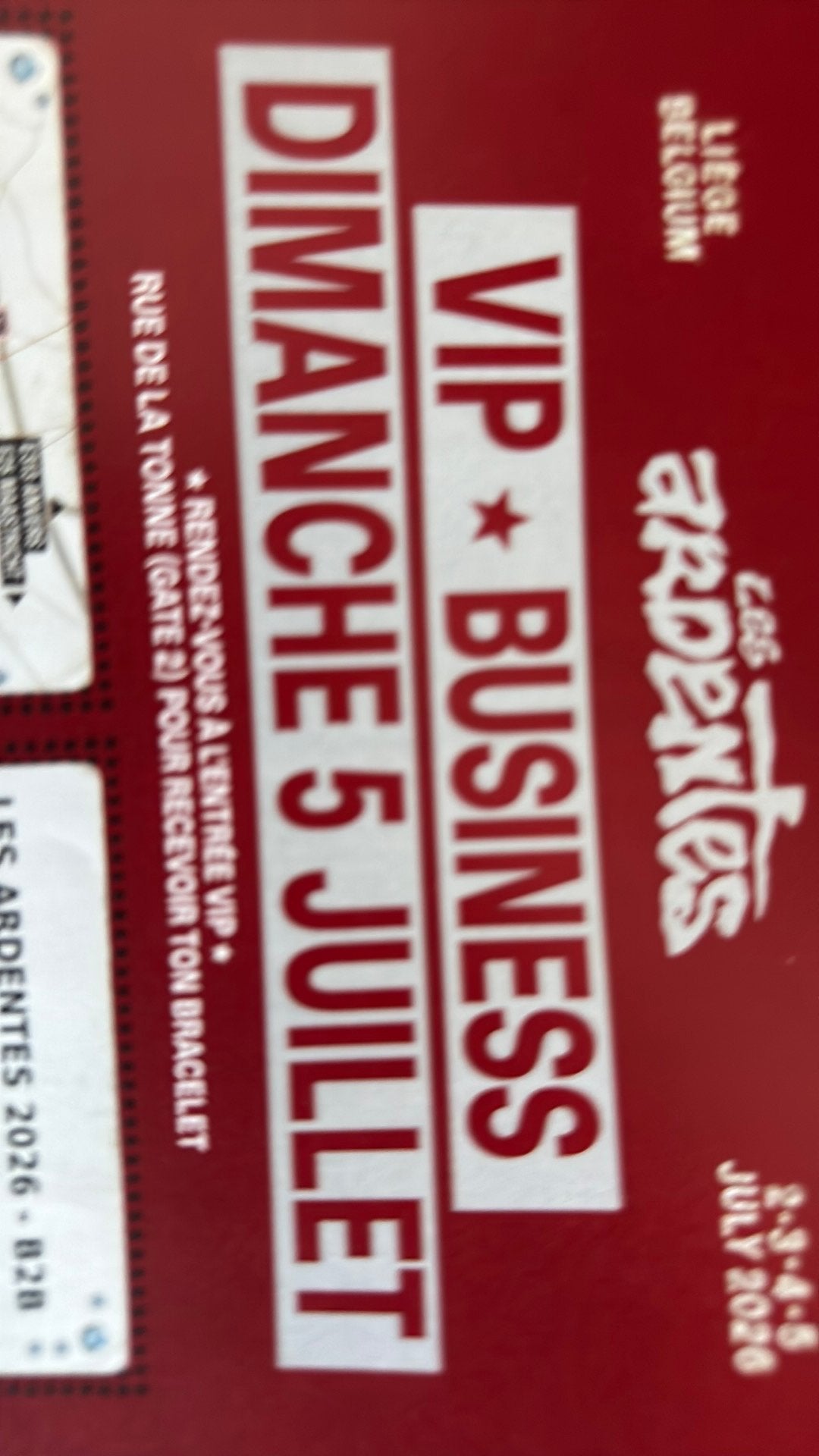 1 entree VIP Business dimanche 5/7, Tickets en Kaartjes, Overige Tickets en Kaartjes
