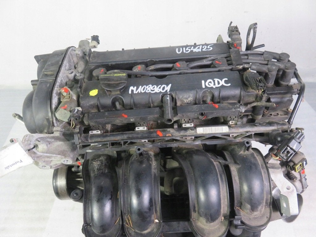 Moteur IQDC Complet FORD FOCUS, Envoi, Utilisé, Daihatsu
