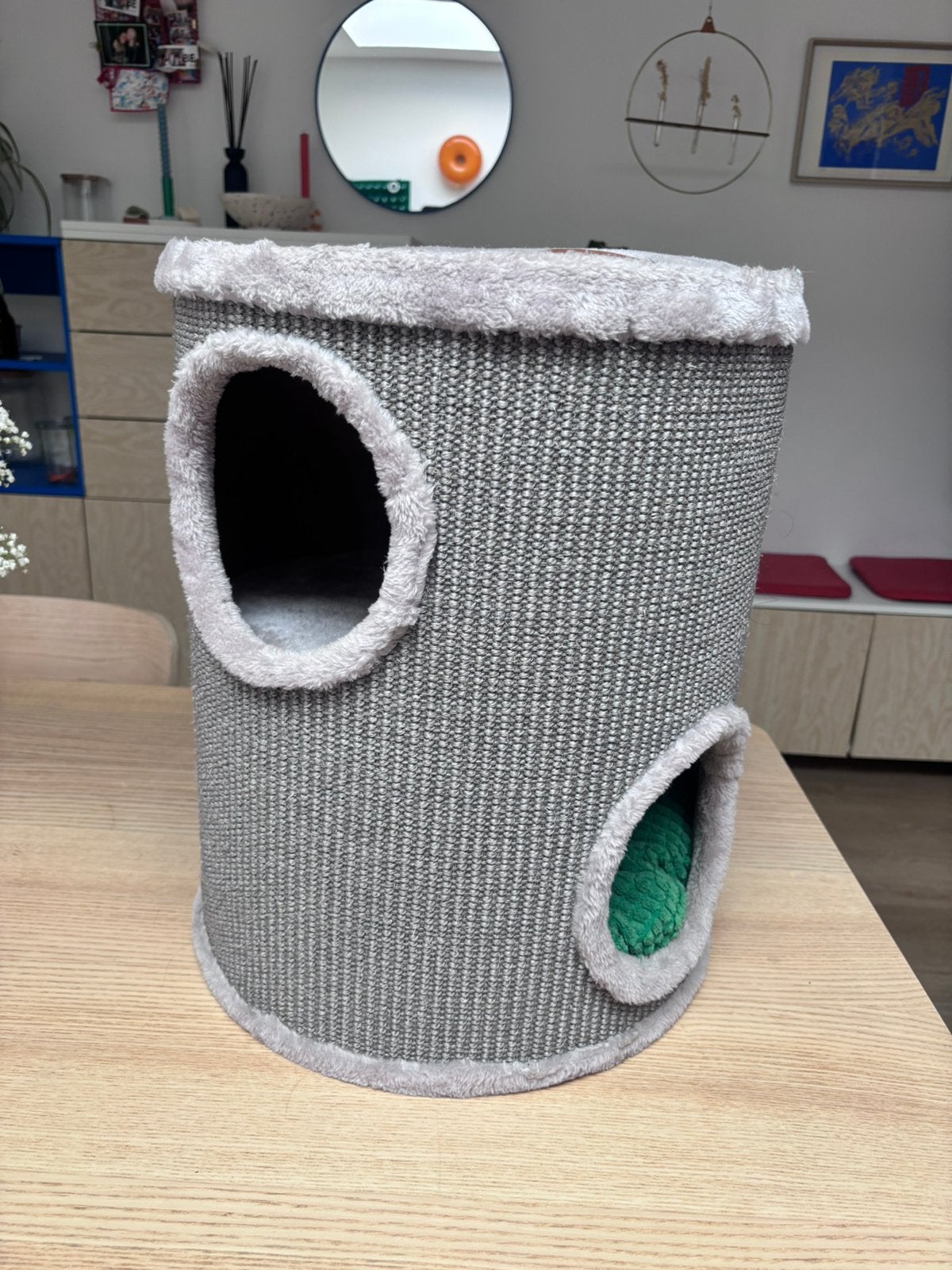 Jack & vanilla krabton katten, Dieren en Toebehoren, Ophalen, Zo goed als nieuw, Krabton