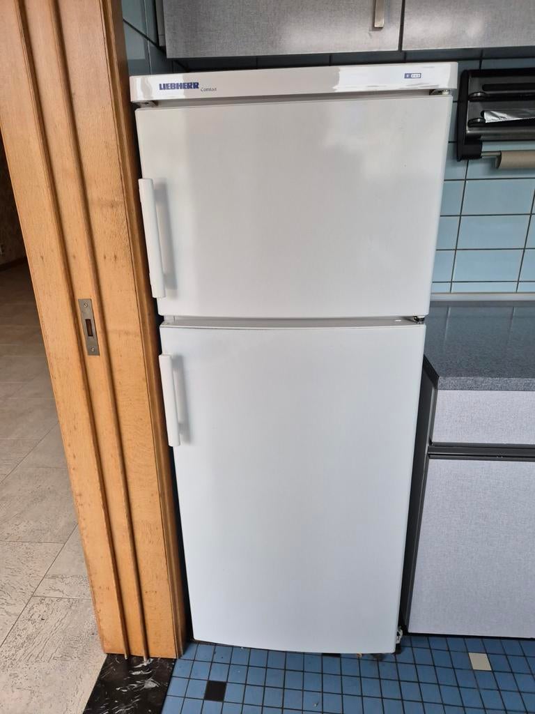 Liebherr koelkast met diepvriesvak, Elektronische apparatuur, Ophalen